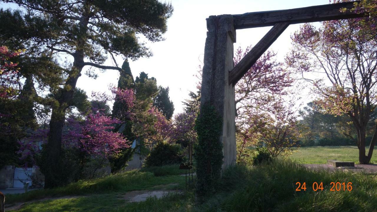 Les Lavandins-Gite Frederic Saint-Rémy-de-Provence Exterior foto